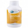 Lecithin เลซิติน สารอาหารบำรุงสมอง เพิ่มประสิทธิภาพความจำ